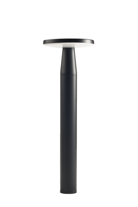 in-lite Disc-Default Title