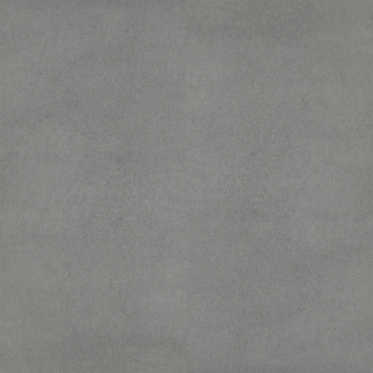 Bison 2CM Paver | Bluestone-2'x2'