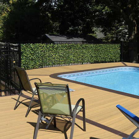 Clubhouse-Ipe-Solid-8'