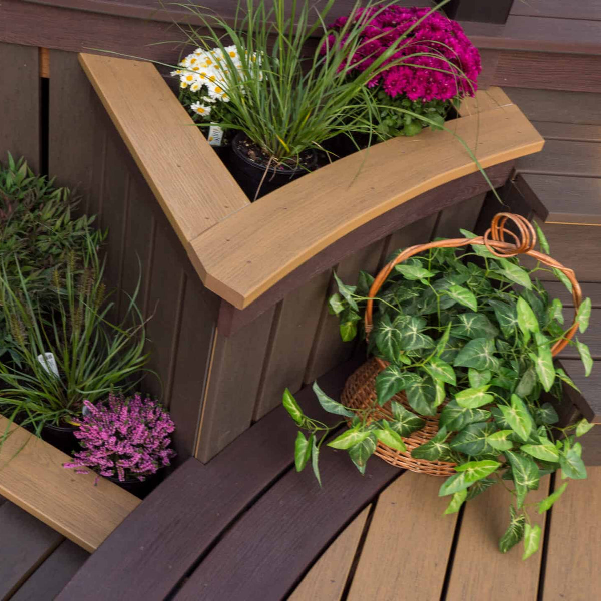 Clubhouse Mahogany-solid-8'