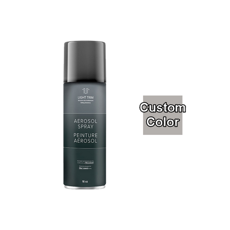 Light Trim Fast Drying Aerosol Paint 16 oz-Custom Color