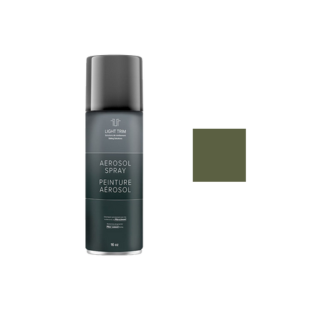 Light Trim Fast Drying Aerosol Paint 16 oz-Mountain Sage 80 (JH)