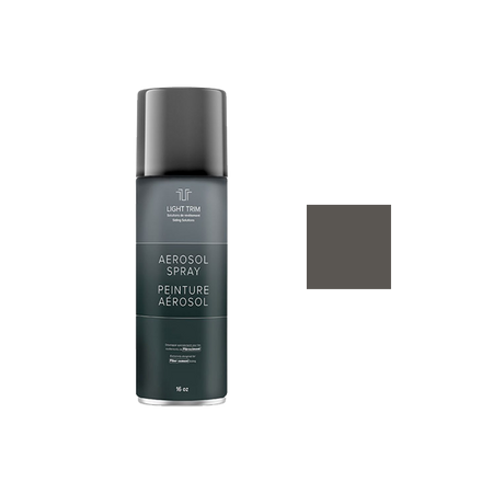 Light Trim Fast Drying Aerosol Paint 16 oz-Rich Espresso 46 (JH)