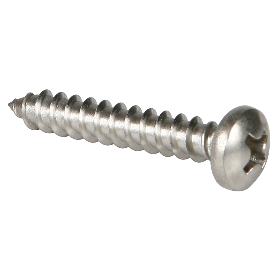 Trusscore Stainless Steel Pan Head Screw-Bag of 250