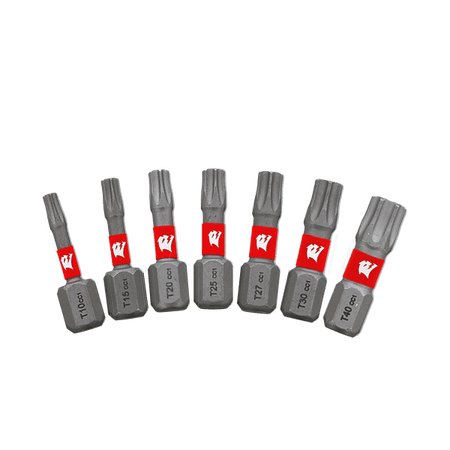 Diablo Torx Drive Bits-T Variety-1in-1