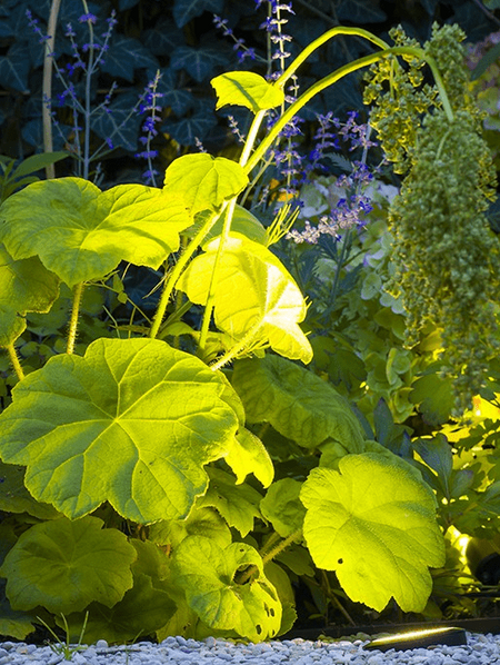 In-Lite BIG FLUX - Blank