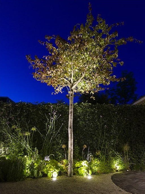 In-Lite BIG FLUX - Blank