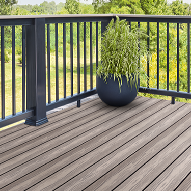 Citadel Silver Cedar