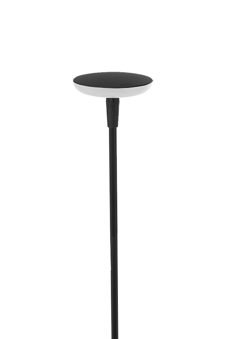 in-lite SWAY-Black-Tube Low