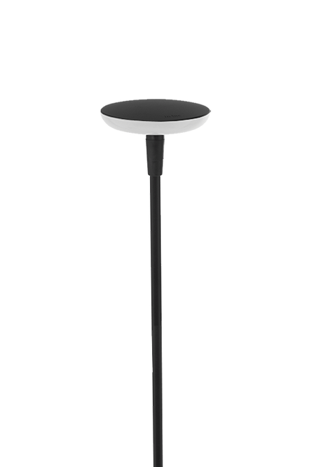 in-lite SWAY-Black-Tube Low