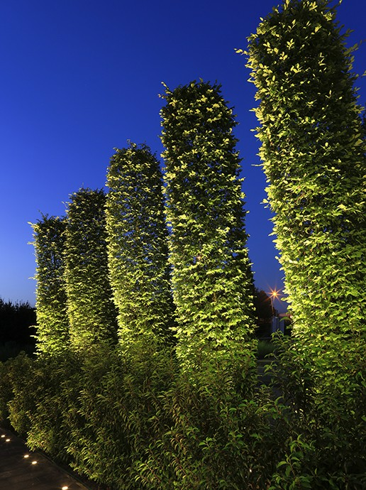 in-lite Big Scope Narrow