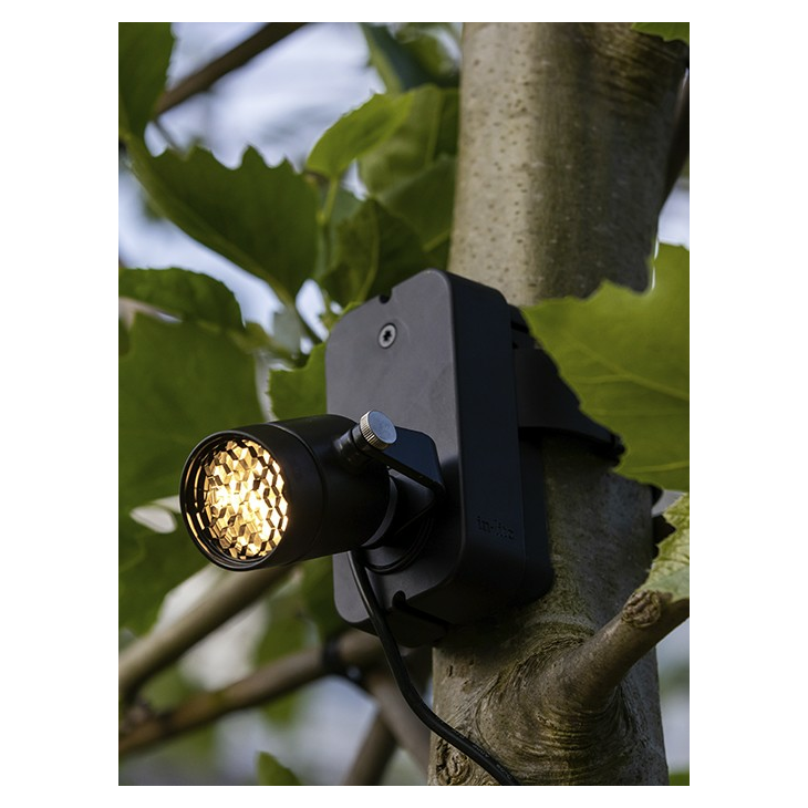 in-lite Evo Flex Brace Band