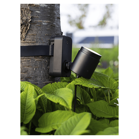 in-lite Evo Flex Brace Band