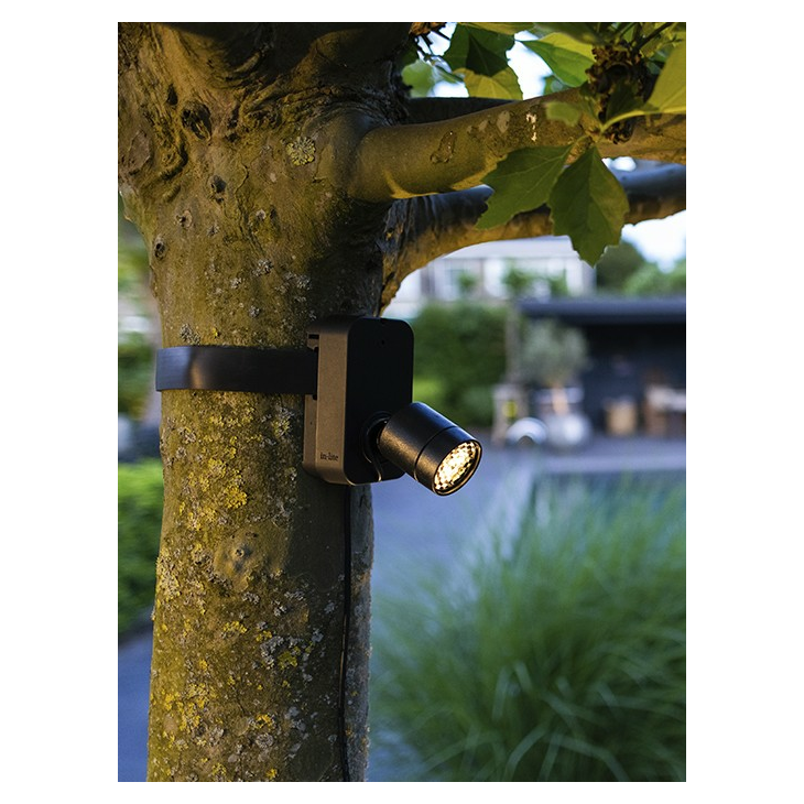 in-lite Evo Flex Brace Band