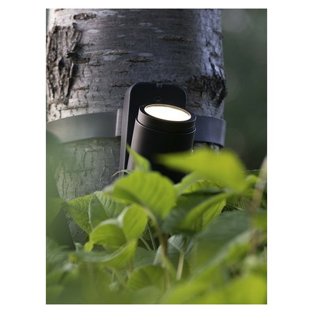 in-lite Evo Flex Brace