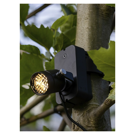 in-lite Evo Flex Brace