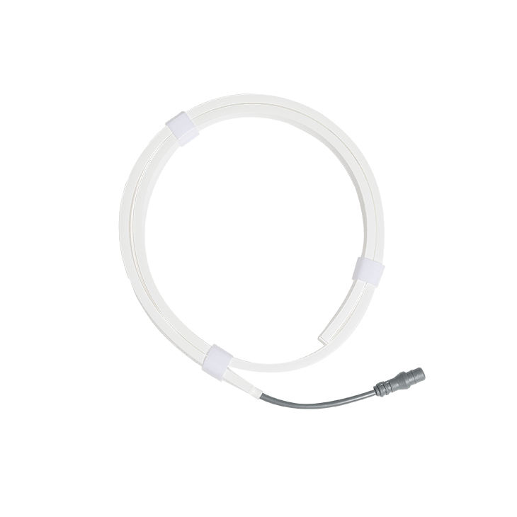 in-lite Smart Evo Flex-3 meter