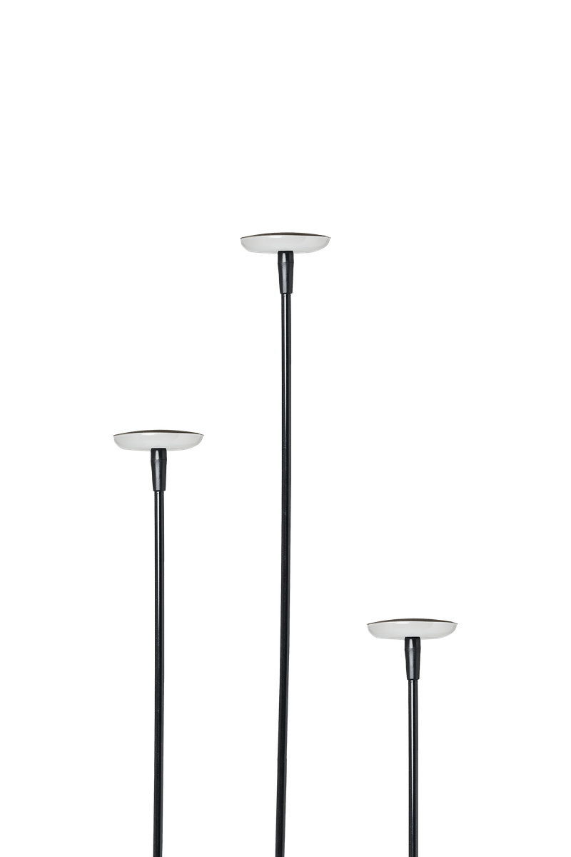 in-lite Mini SWAY