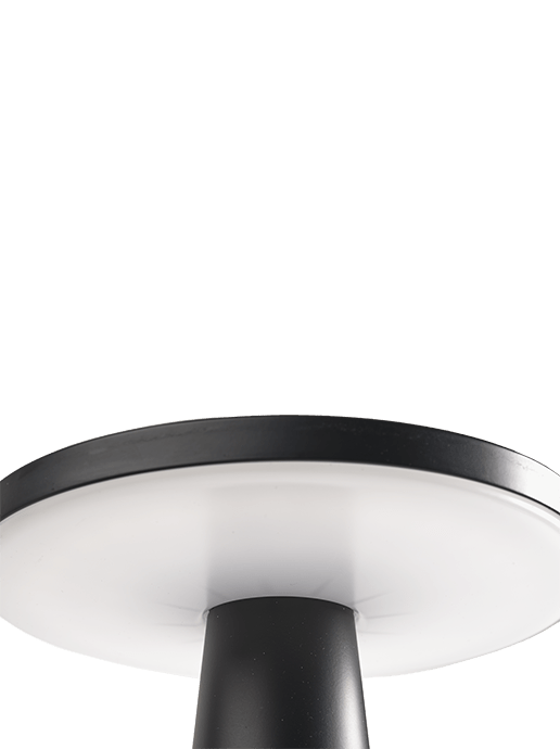 in-lite Disc
