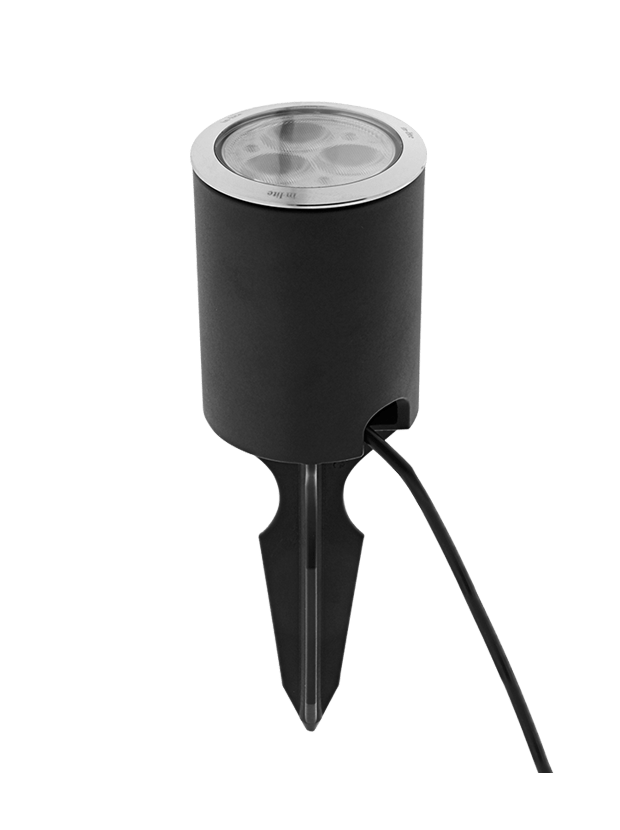 in-lite Spike