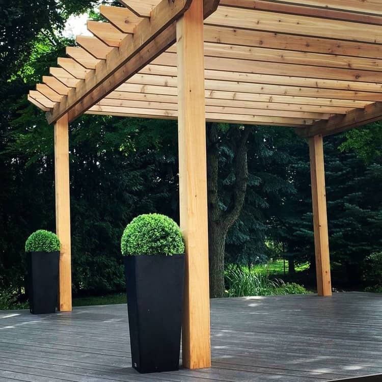 Clubhouse Walnut-