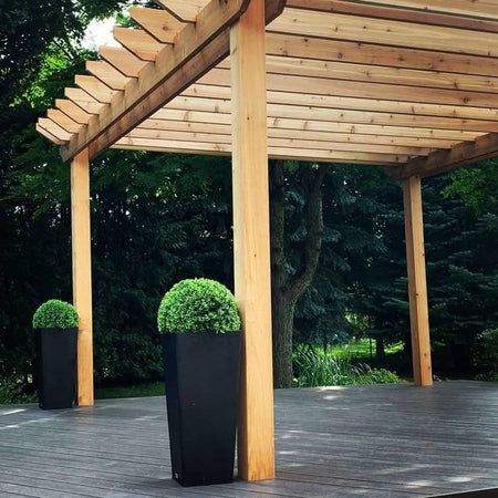 Clubhouse Walnut-