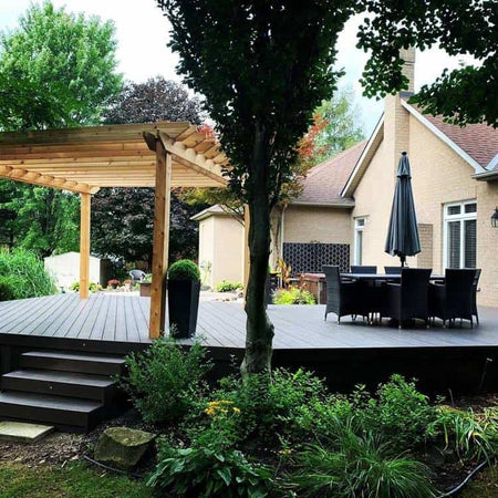 Clubhouse Walnut-