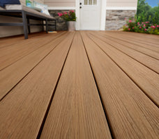 Fiberon Moringa