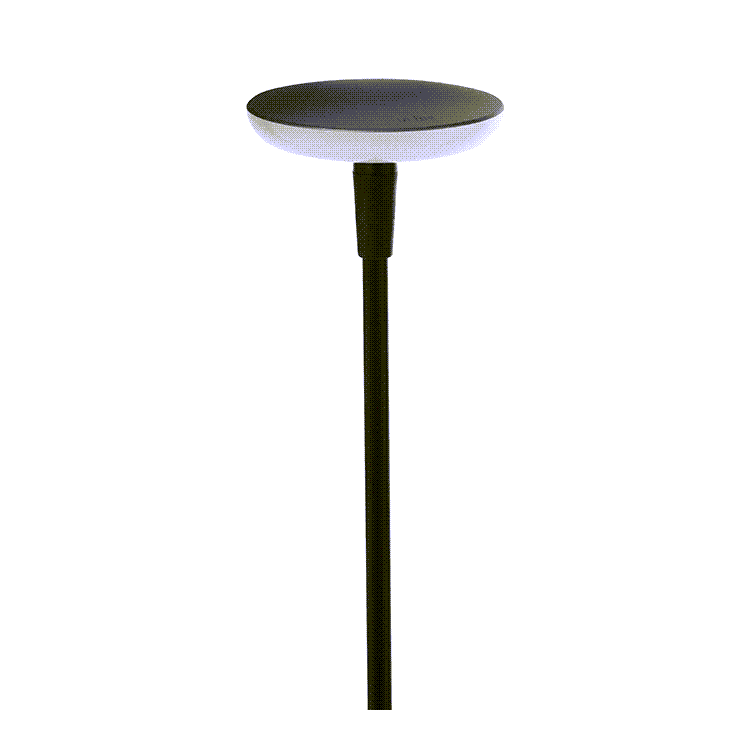 in-lite SWAY