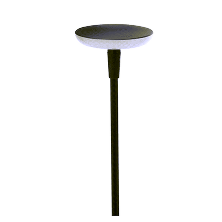 in-lite SWAY