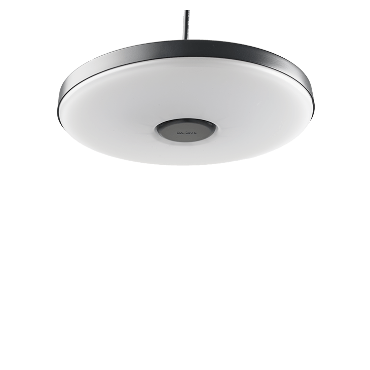 in-lite Disc Pendant
