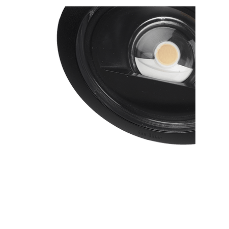 in-lite Luna