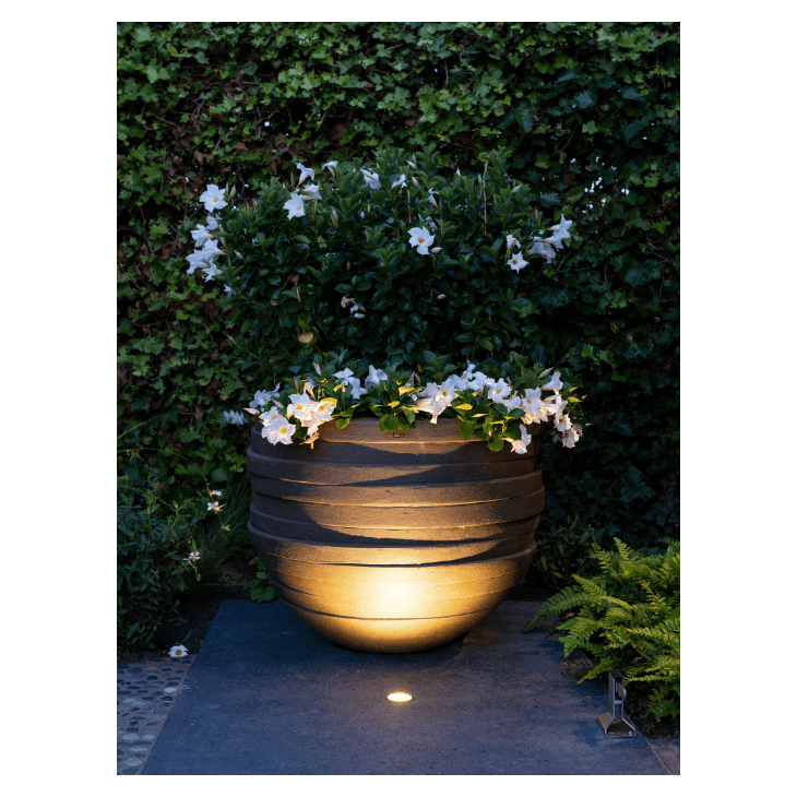 in-lite Luna
