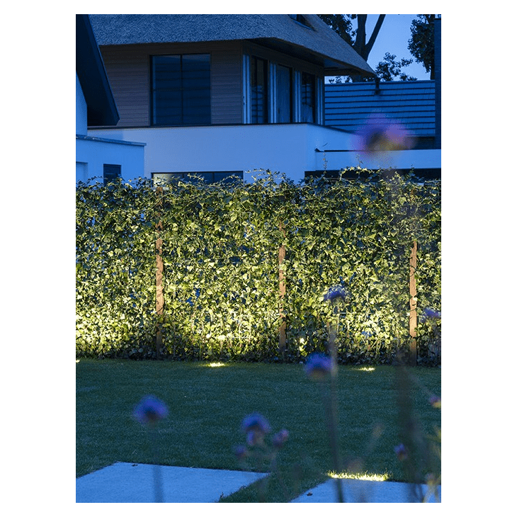 in-lite Luna