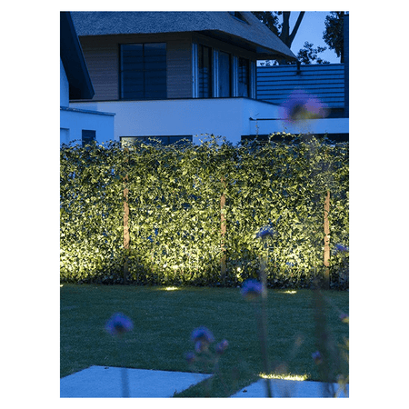in-lite Luna