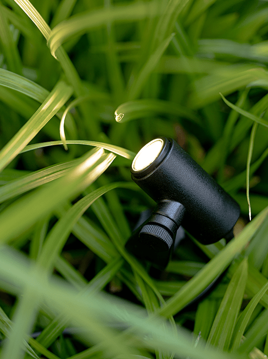 in-lite Micro Scope