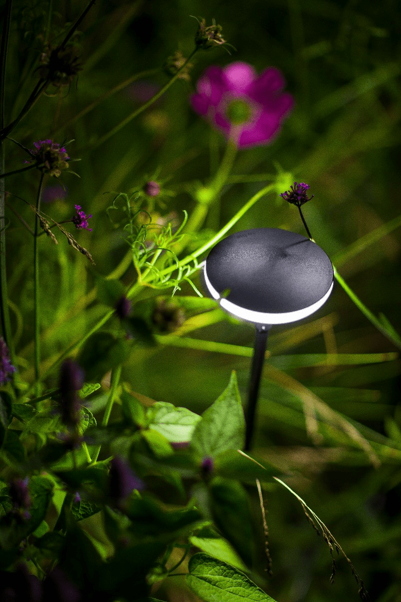 in-lite Mini SWAY