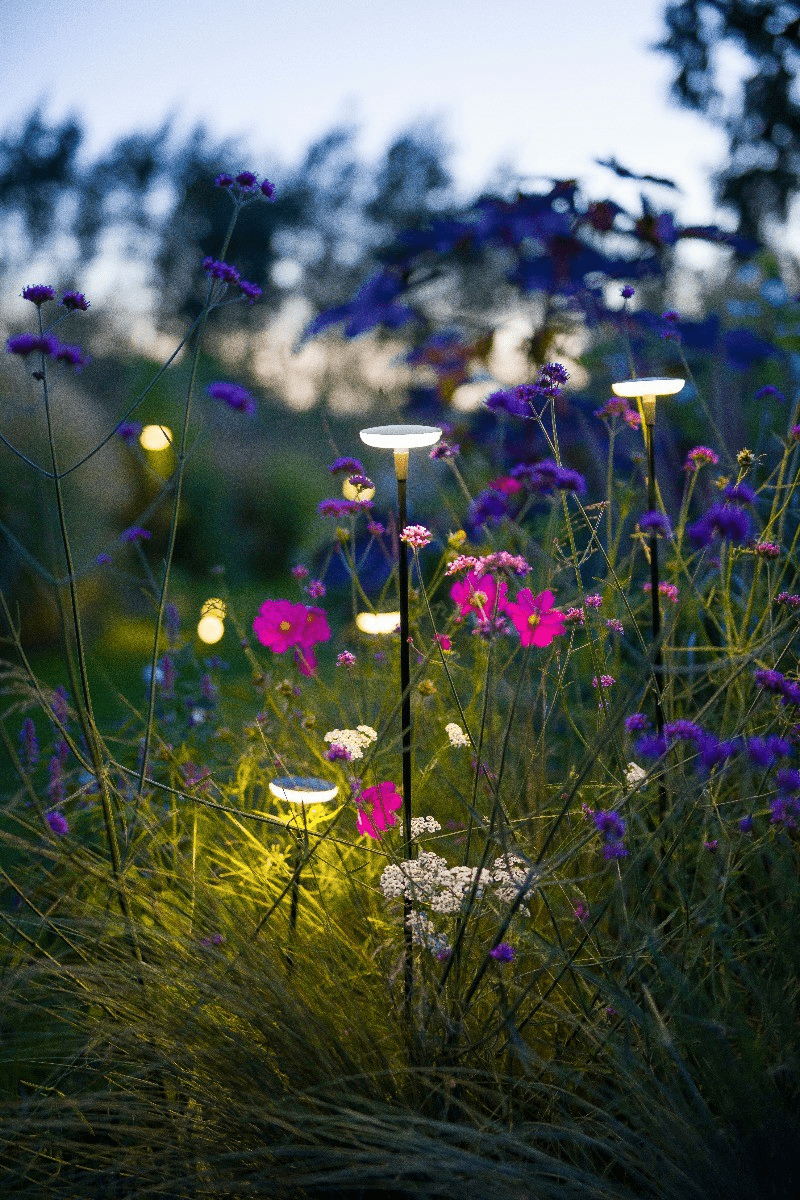 in-lite Mini SWAY