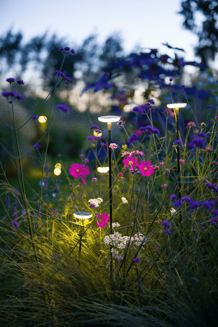 in-lite Mini SWAY