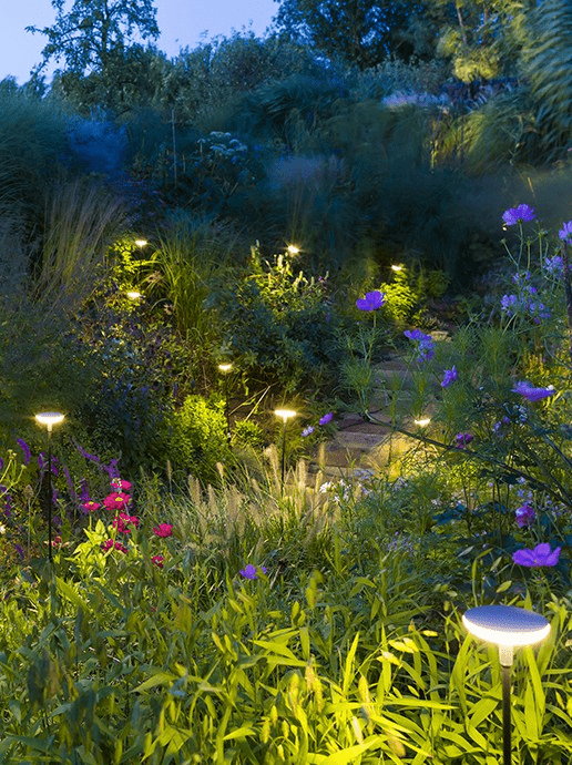 in-lite Mini SWAY
