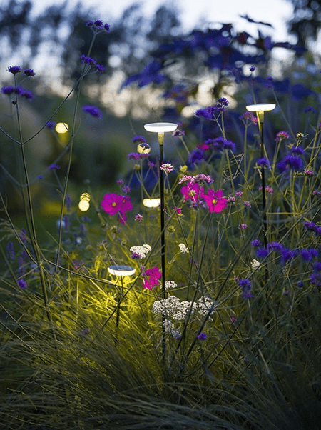 in-lite Mini SWAY