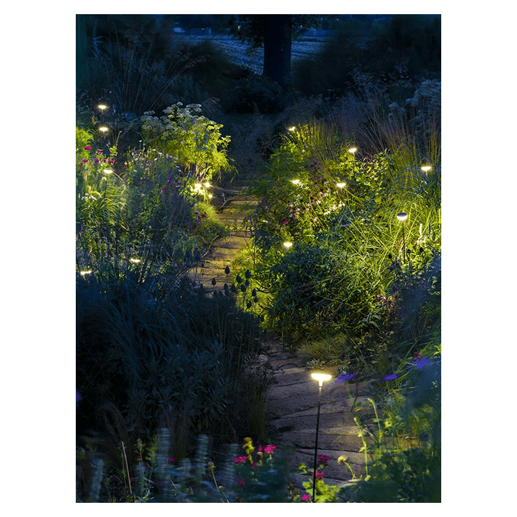 in-lite SWAY