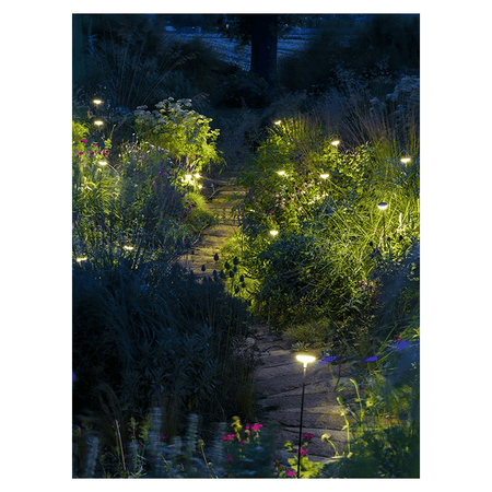 in-lite SWAY